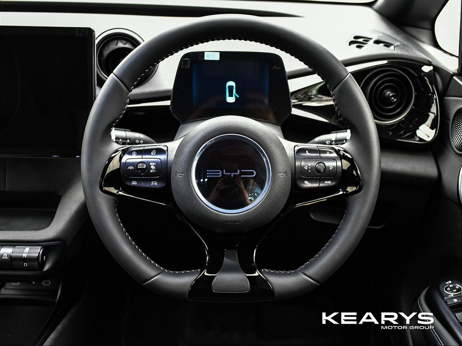 2026 BYD Dolphin - image 14