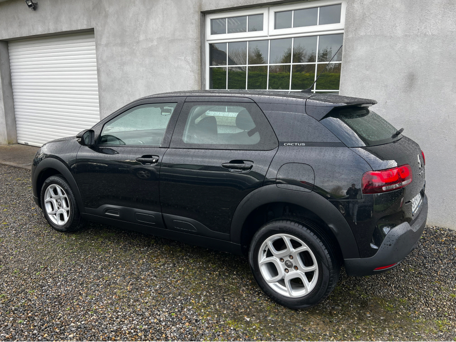 2019 Citroen C4 Cactus - image 9
