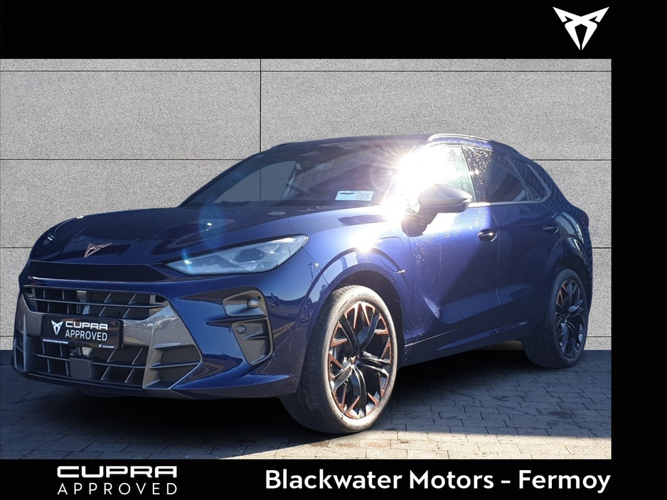 2026 Cupra Terramar - image 15