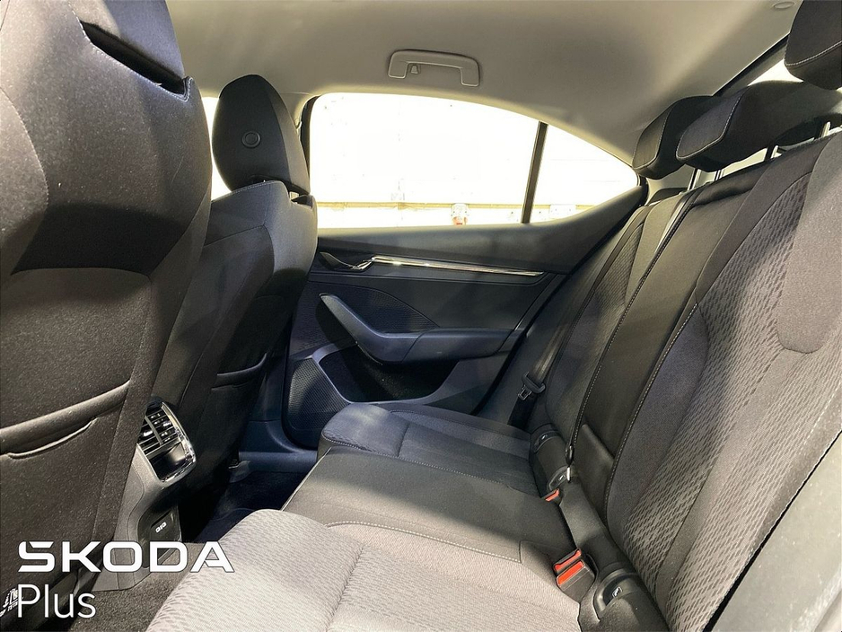 2023 Skoda Octavia - image 6