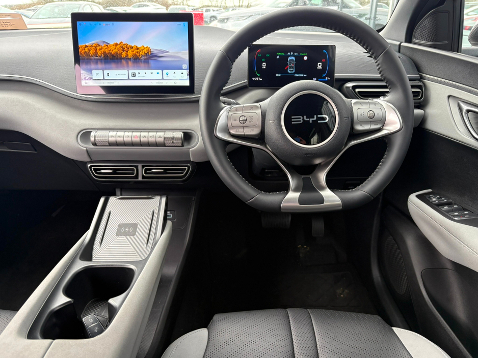 2025 BYD Dolphin Surf - image 10