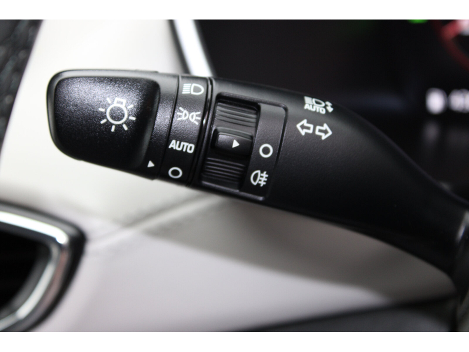 2024 Hyundai Santa Fe 1.6 PHEV 4WD Premium