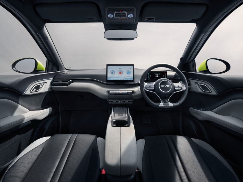 2025 BYD Dolphin Surf - image 24