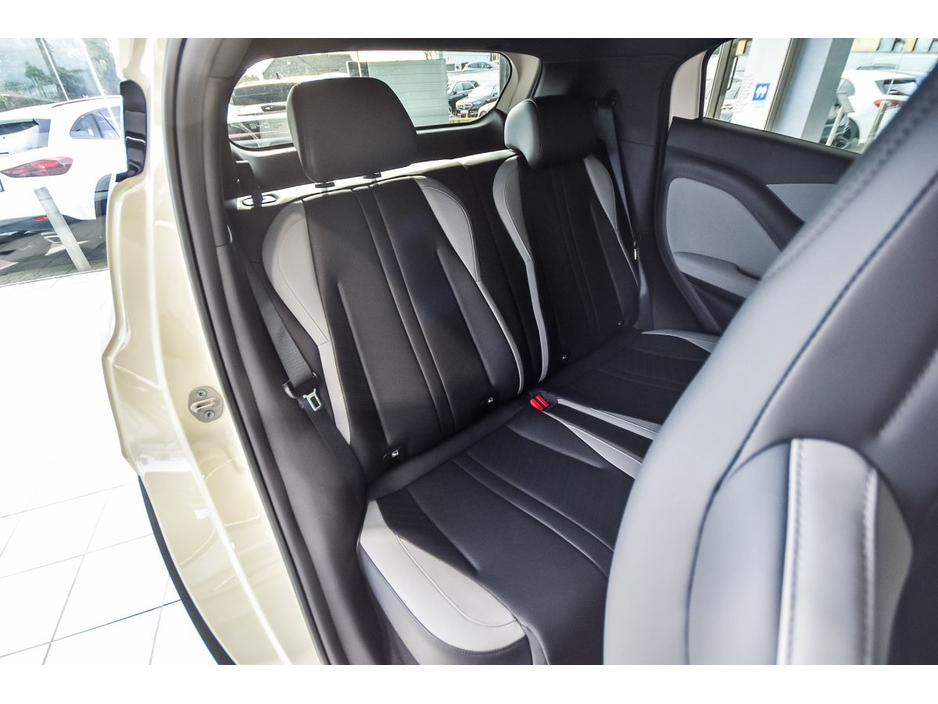 2026 BYD Dolphin Surf - image 12