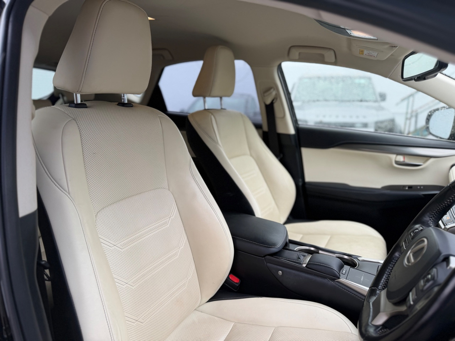 2020 Lexus NX 300 h - image 11