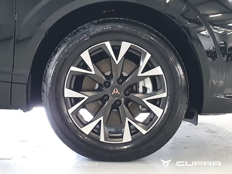 2026 Cupra Terramar - image 7