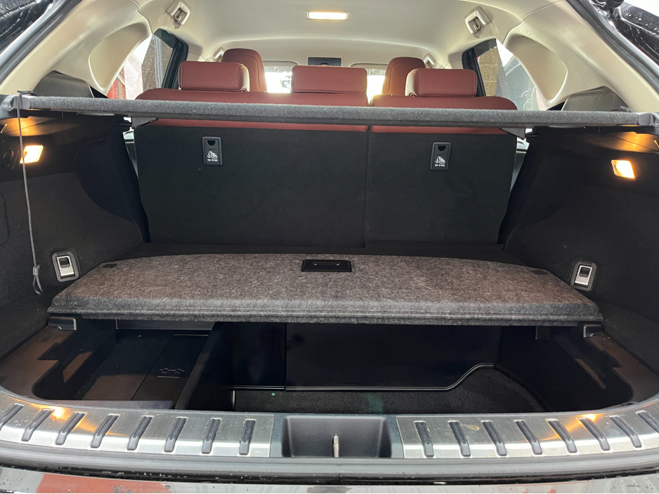 2017 Lexus NX 300 h - image 8