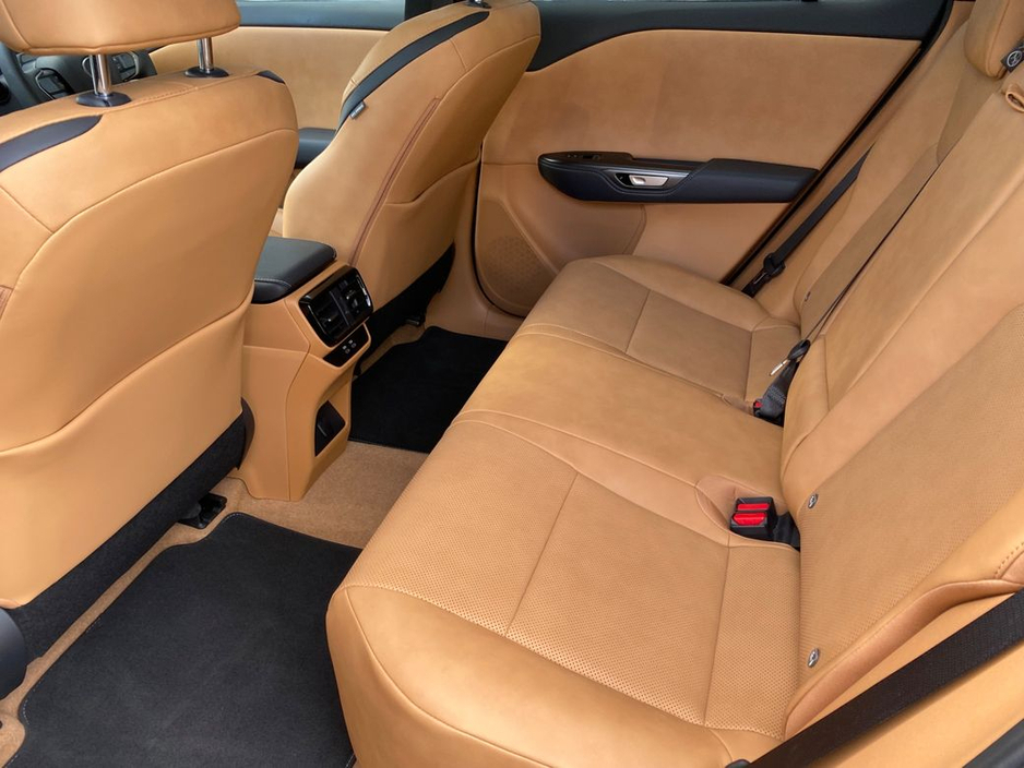 2024 Lexus RZ - image 18