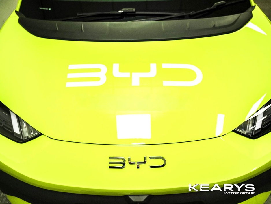 2026 BYD Dolphin Surf - image 9