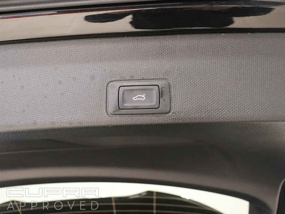 2026 Cupra Terramar - image 26