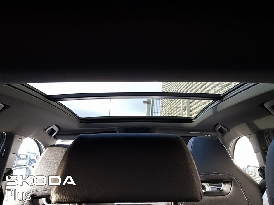 2025 Skoda Kodiaq - image 17