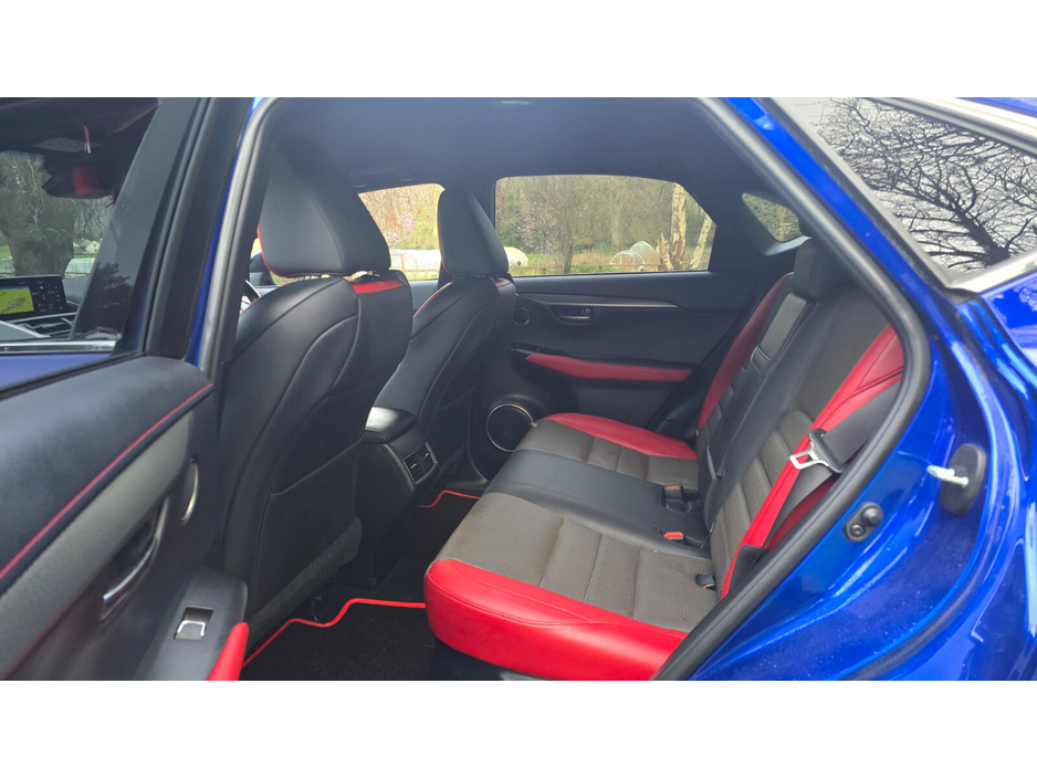 2018 Lexus NX 300 h - image 19