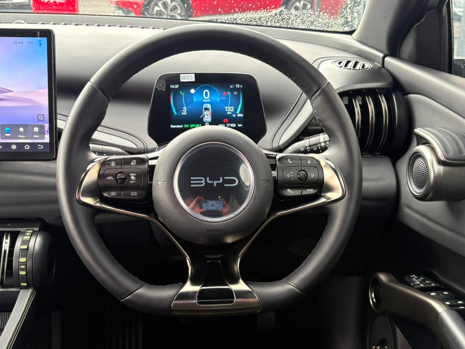 2025 BYD ATTO 3 - image 14