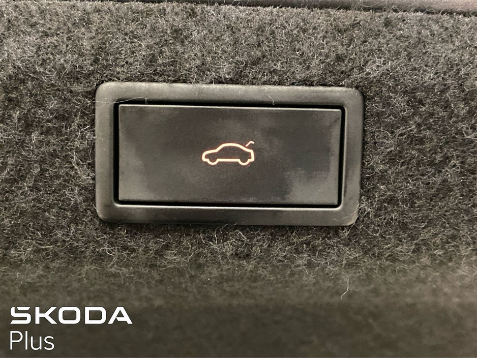 2024 Skoda Octavia - image 25