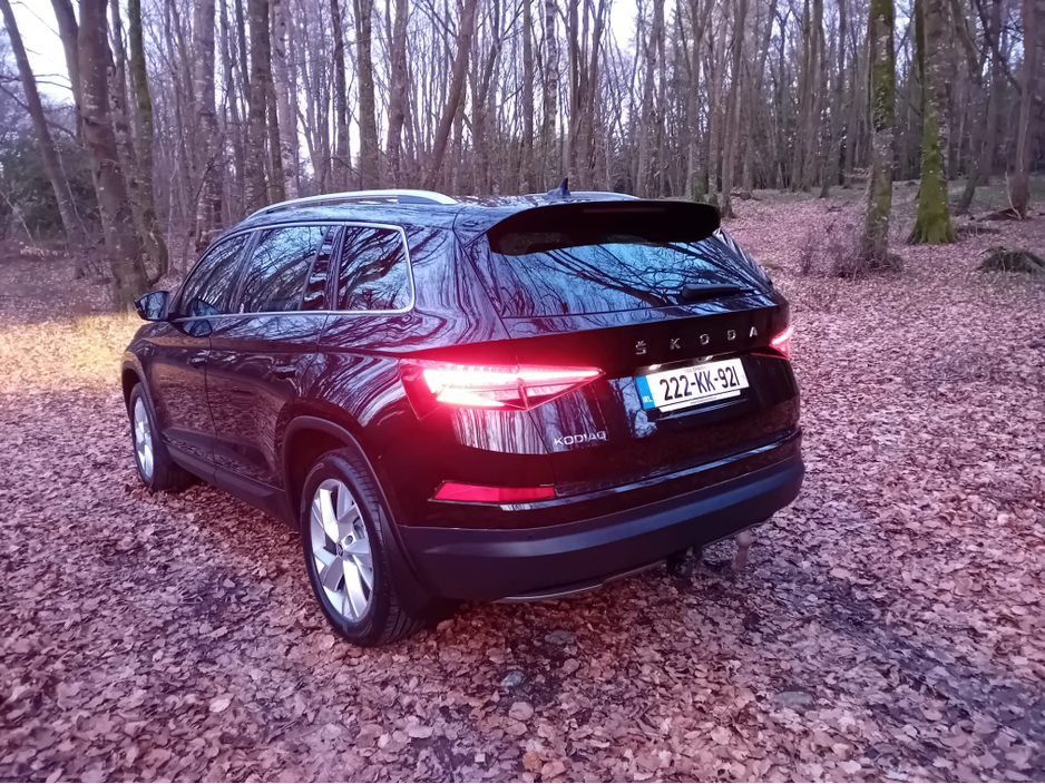 2022 Skoda Kodiaq - image 6