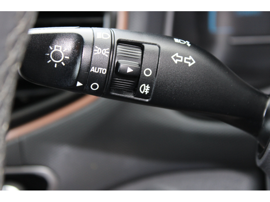 2017 Hyundai Ioniq - image 23