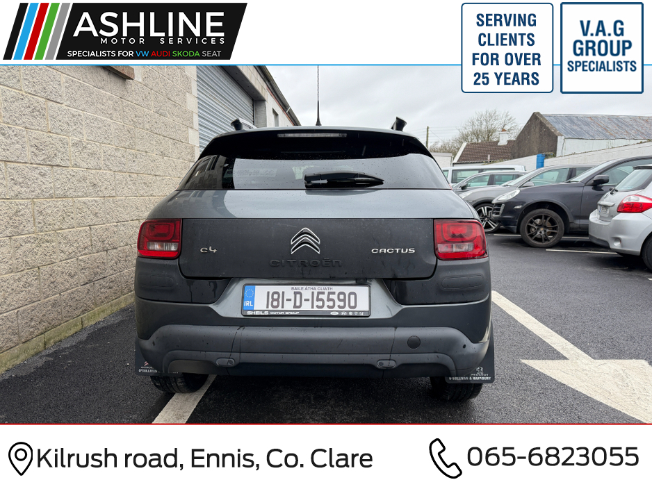 2018 Citroen C4 Cactus BLUEHDI 100 FLAIR SS S&S MY14 4DR €10,950