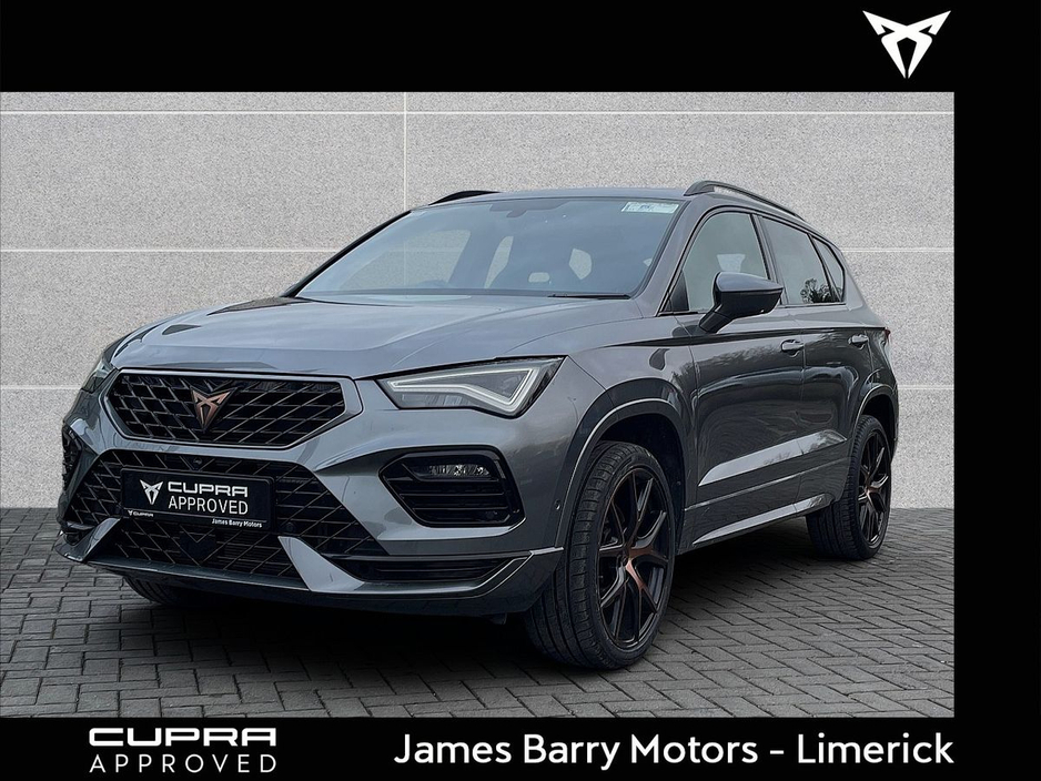 2024 Cupra Ateca - image 15