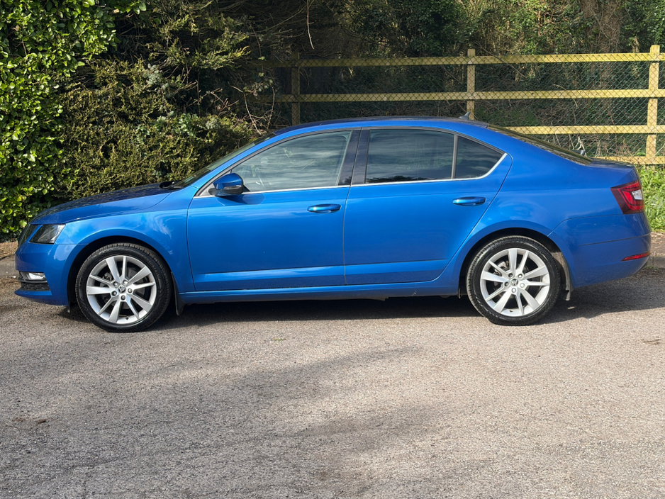 2019 Skoda Octavia - image 7