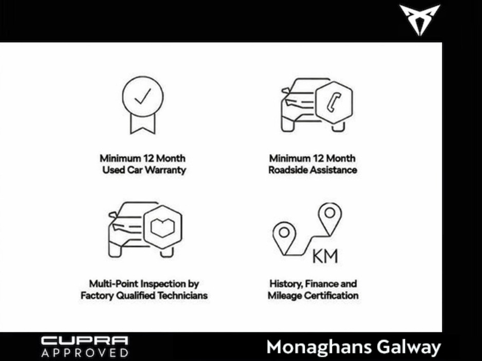2026 Cupra Terramar - image 8