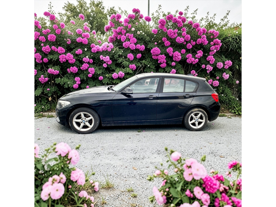 2016 BMW 1 Series - image 14