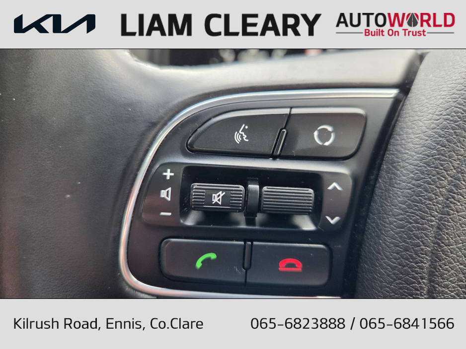 2018 Kia Sportage PLATINUM S 5DR €18,495