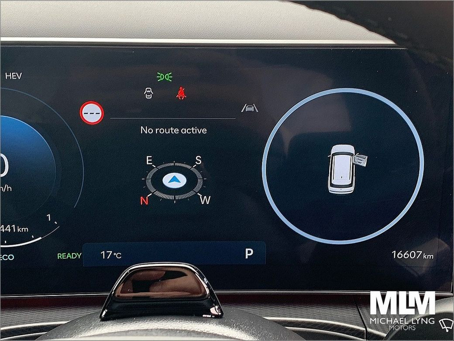 2025 Hyundai Santa Fe 1.6 PHEV 4WD Premium Calligraphy €63,995