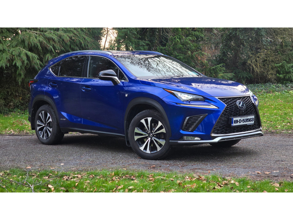 2018 Lexus NX 300 h - image 2