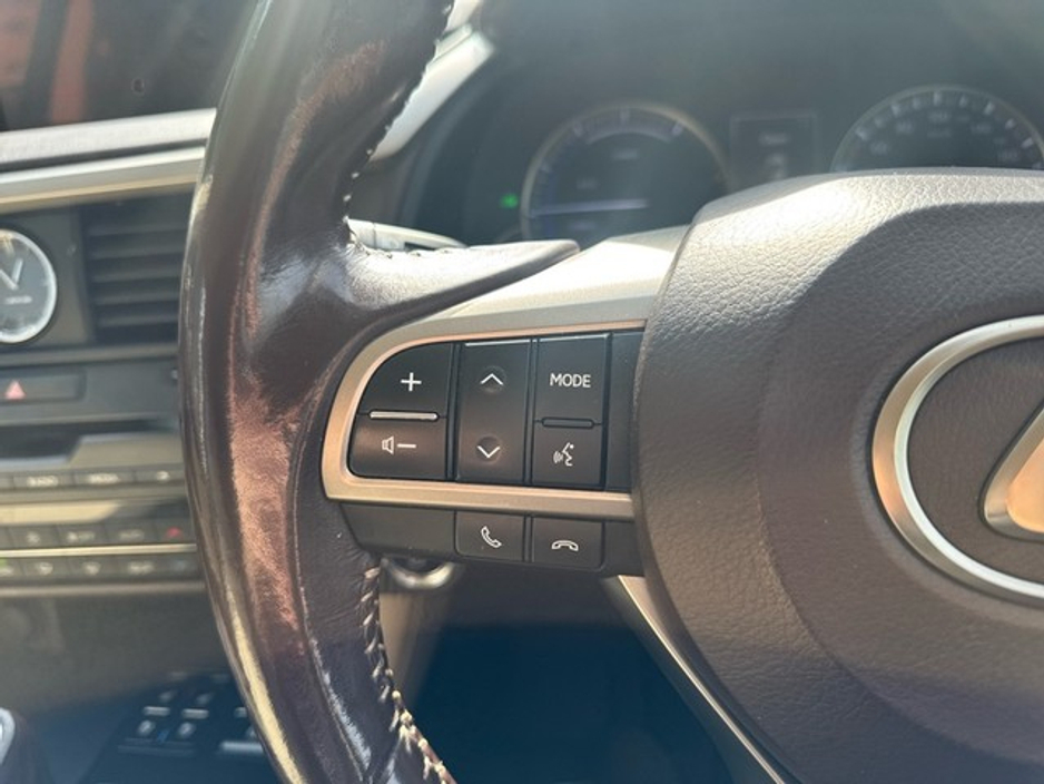 2017 Lexus RX 450 h - image 13