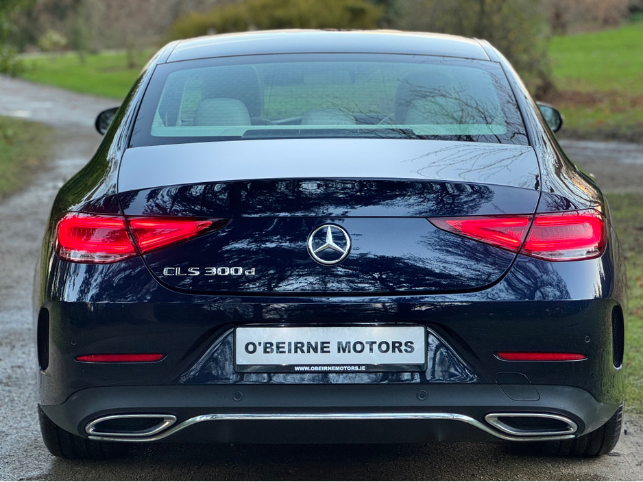 2019 Mercedes-Benz CLS Class - image 3