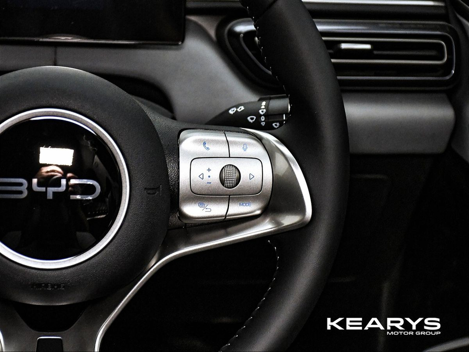 2026 BYD Dolphin Surf - image 18