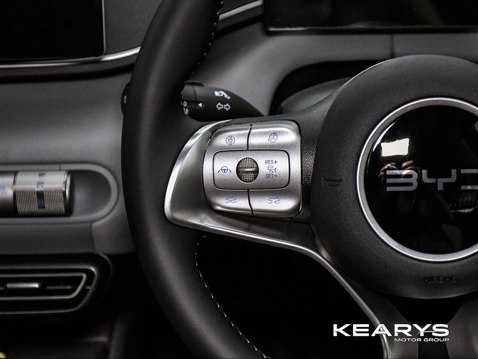 2026 BYD Dolphin Surf - image 14