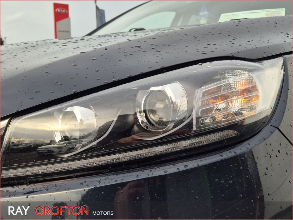 2019 Kia Sorento - image 12