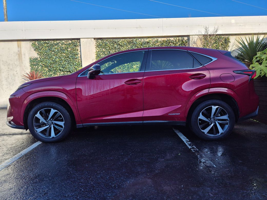 2020 Lexus NX 300 h - image 13