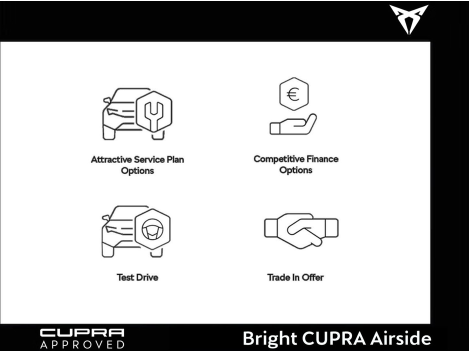 2025 Cupra Terramar - image 14
