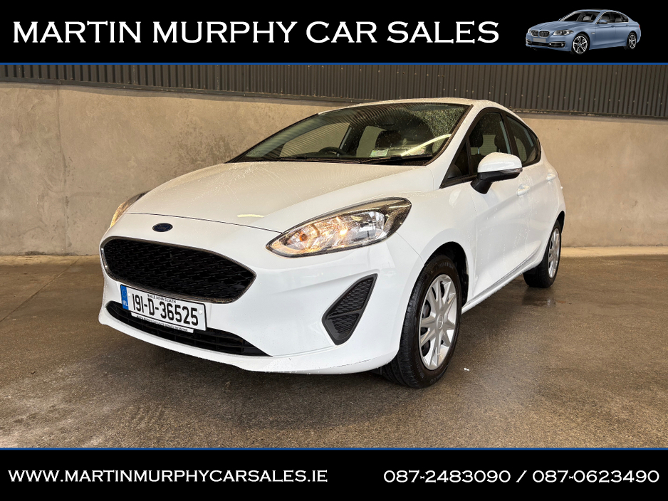 2019 Ford Fiesta ZETEC 1.1 PETROL 70 BHP €11,950
