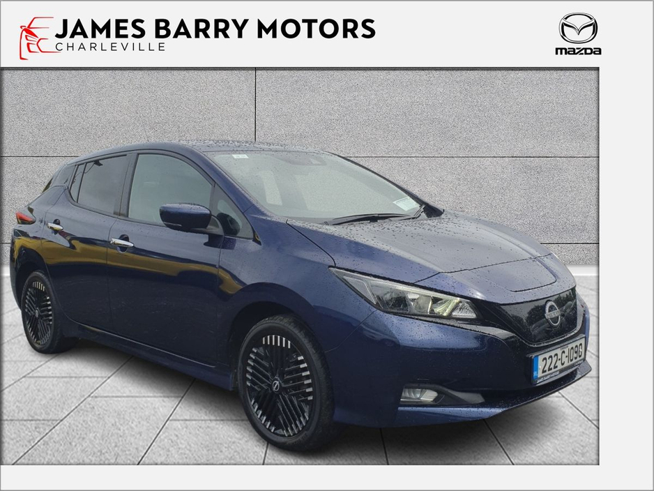 2022 Nissan Leaf Leaf SV 62 kWh 350kms Range €19,950