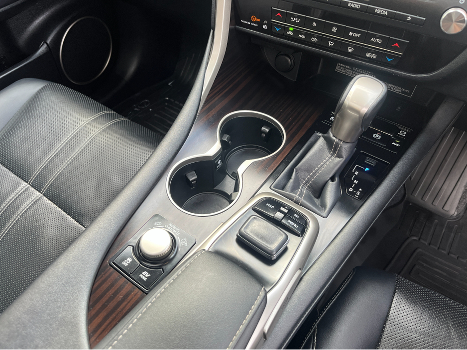 2016 Lexus RX 450 h - image 20