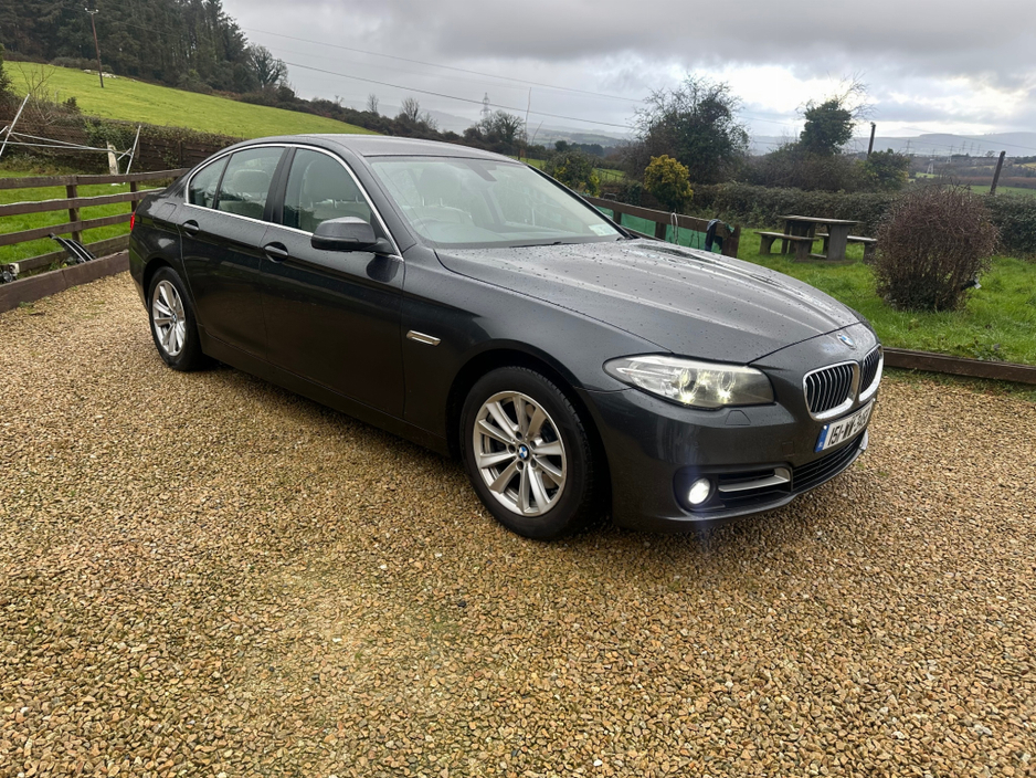 2015 BMW 5 Series D F10 SE 4DR AUTO €10,950