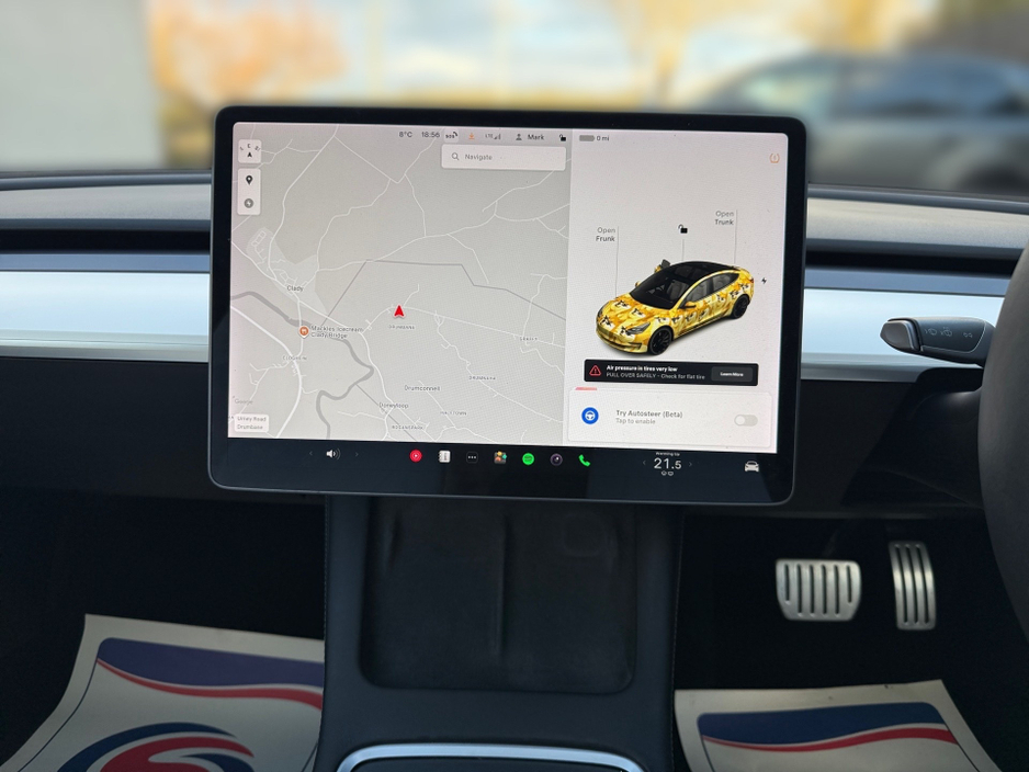 2021 Tesla Model 3 - image 13