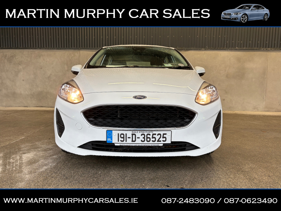 2019 Ford Fiesta ZETEC 1.1 PETROL 70 BHP €11,950