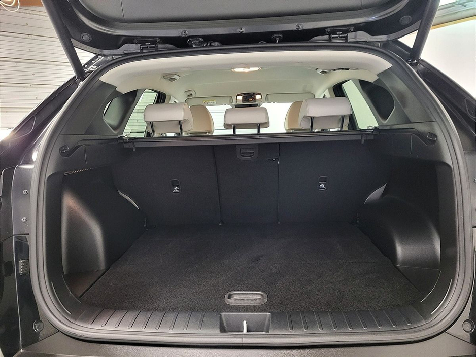2024 Hyundai Tucson - image 10