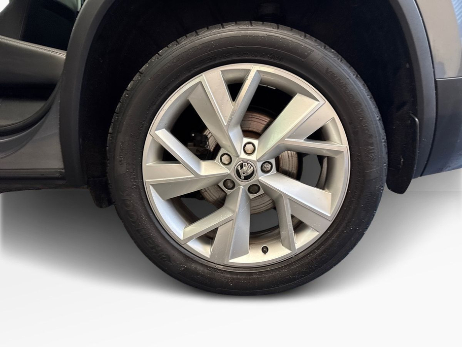2024 Skoda Kodiaq - image 5