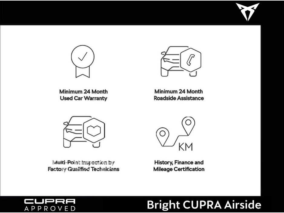 2025 Cupra Terramar - image 7