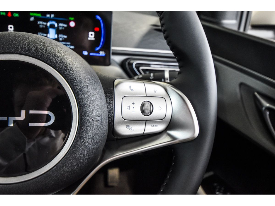 2026 BYD Dolphin Surf - image 19