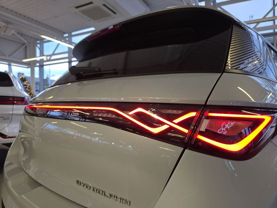2026 BYD Dolphin - image 22