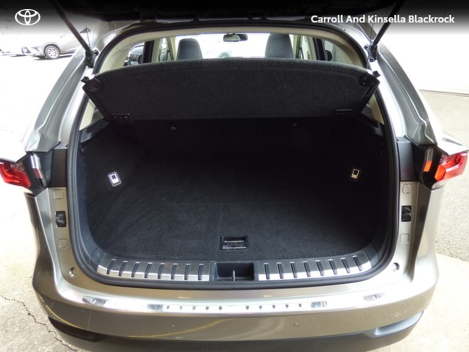 2017 Lexus NX 300 h - image 9