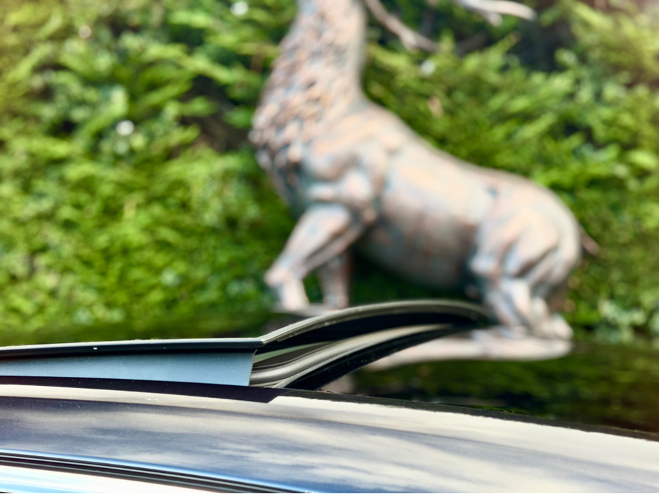 2022 Porsche Panamera 4 E-HY E-HYBRID 5DR AUTO €79,950