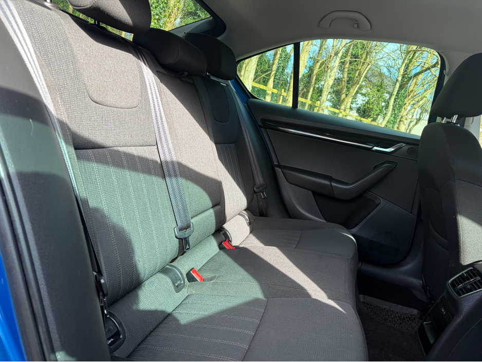 2019 Skoda Octavia - image 14