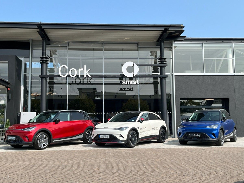 2025 Smart #1 - image 3